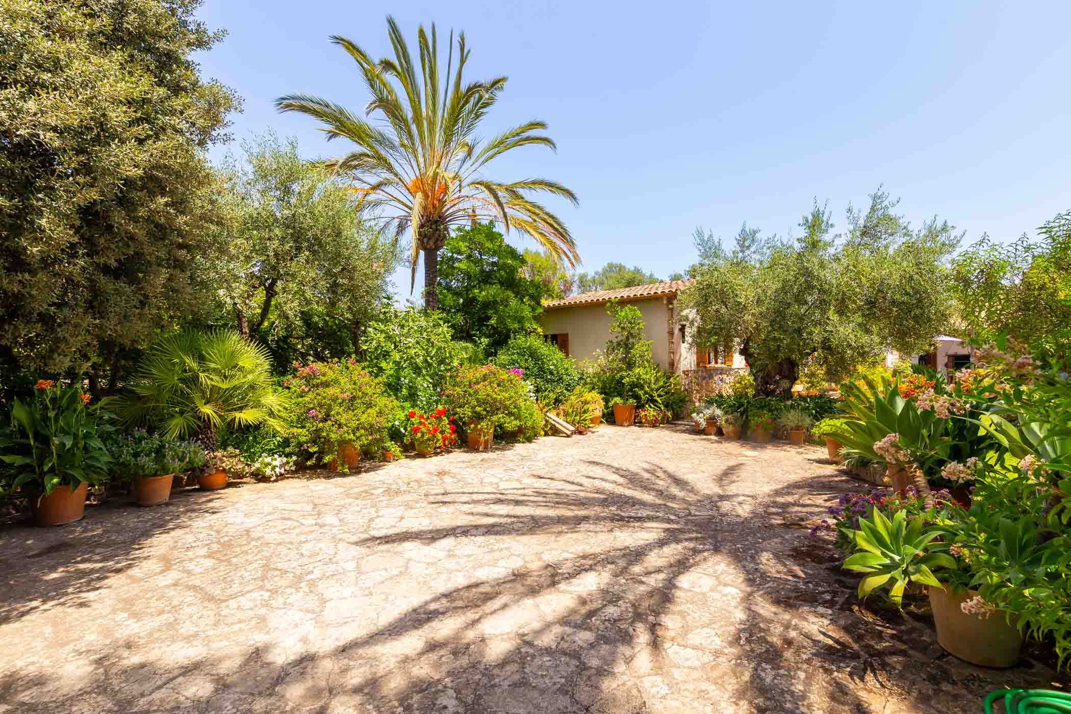 Can Vadell - Foravila Rentals