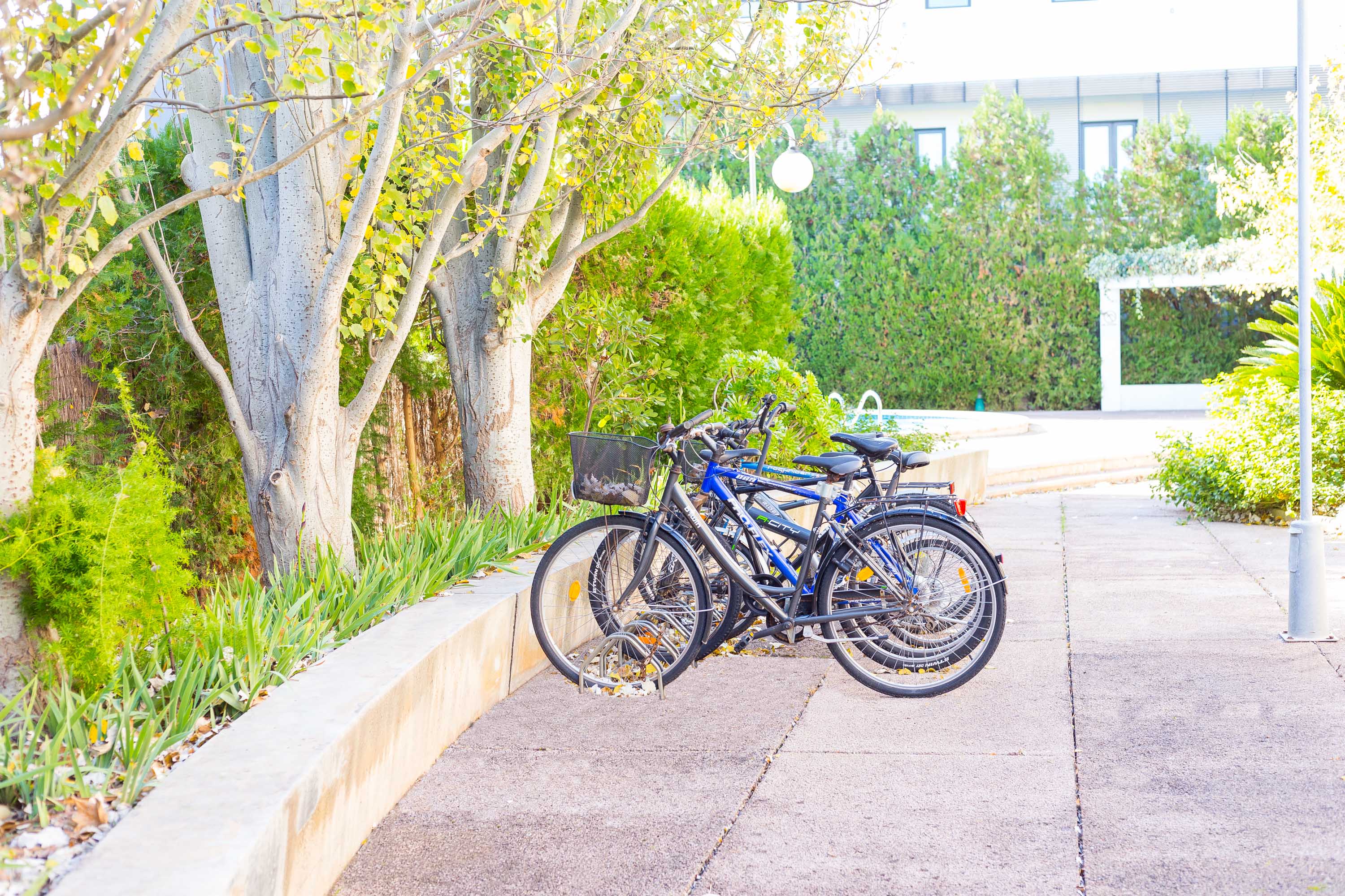 Codonyer A - Foravila Rentals