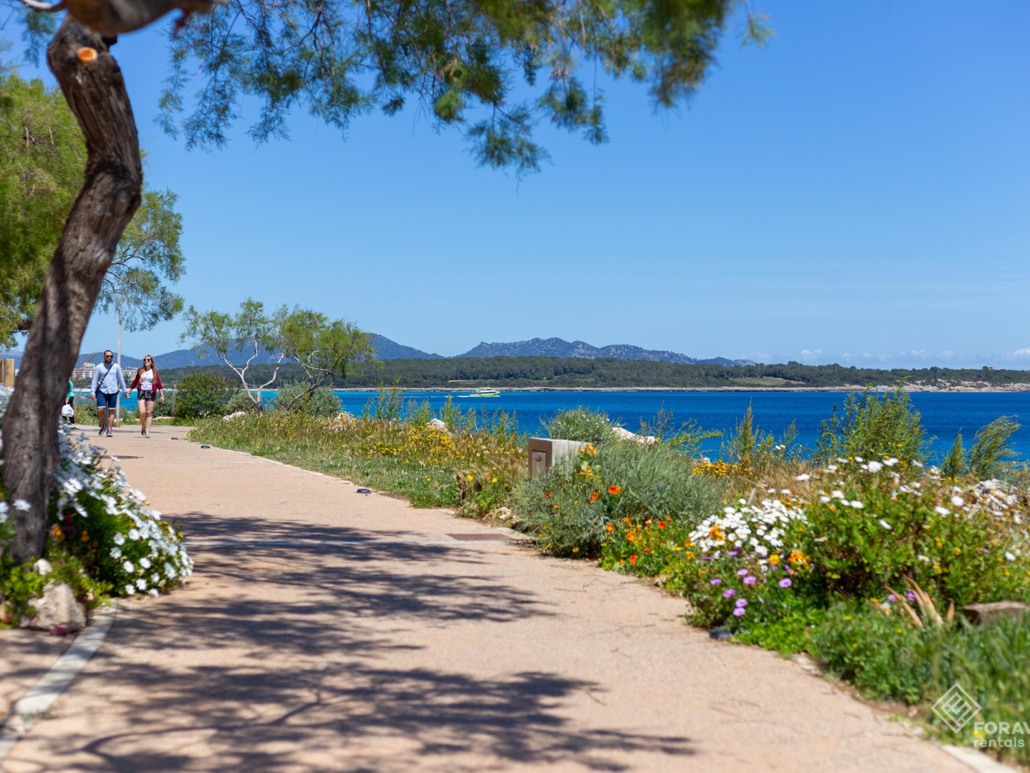 Fonoll Mari - Foravila Rentals