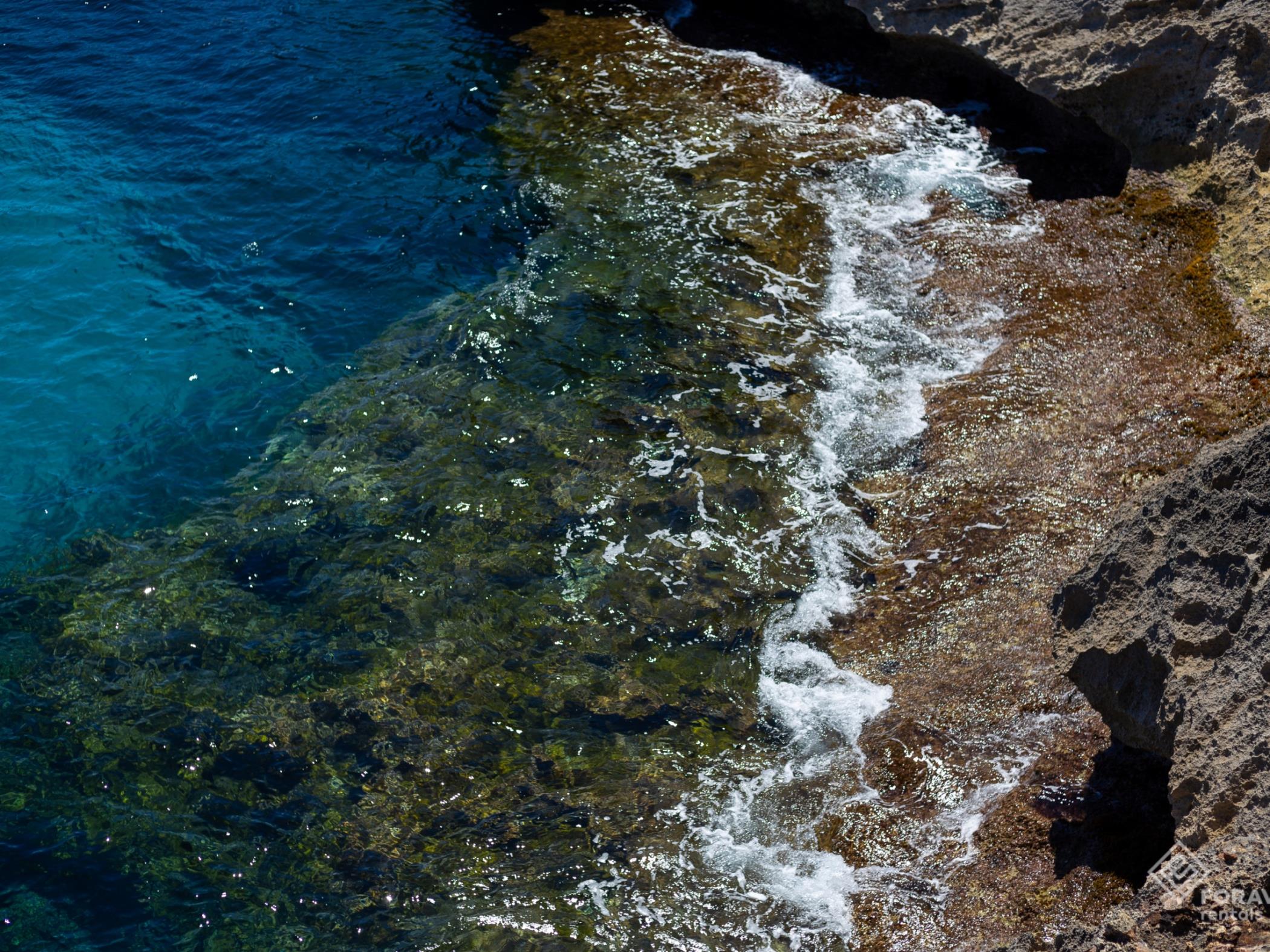 Fonoll Mari - Foravila Rentals