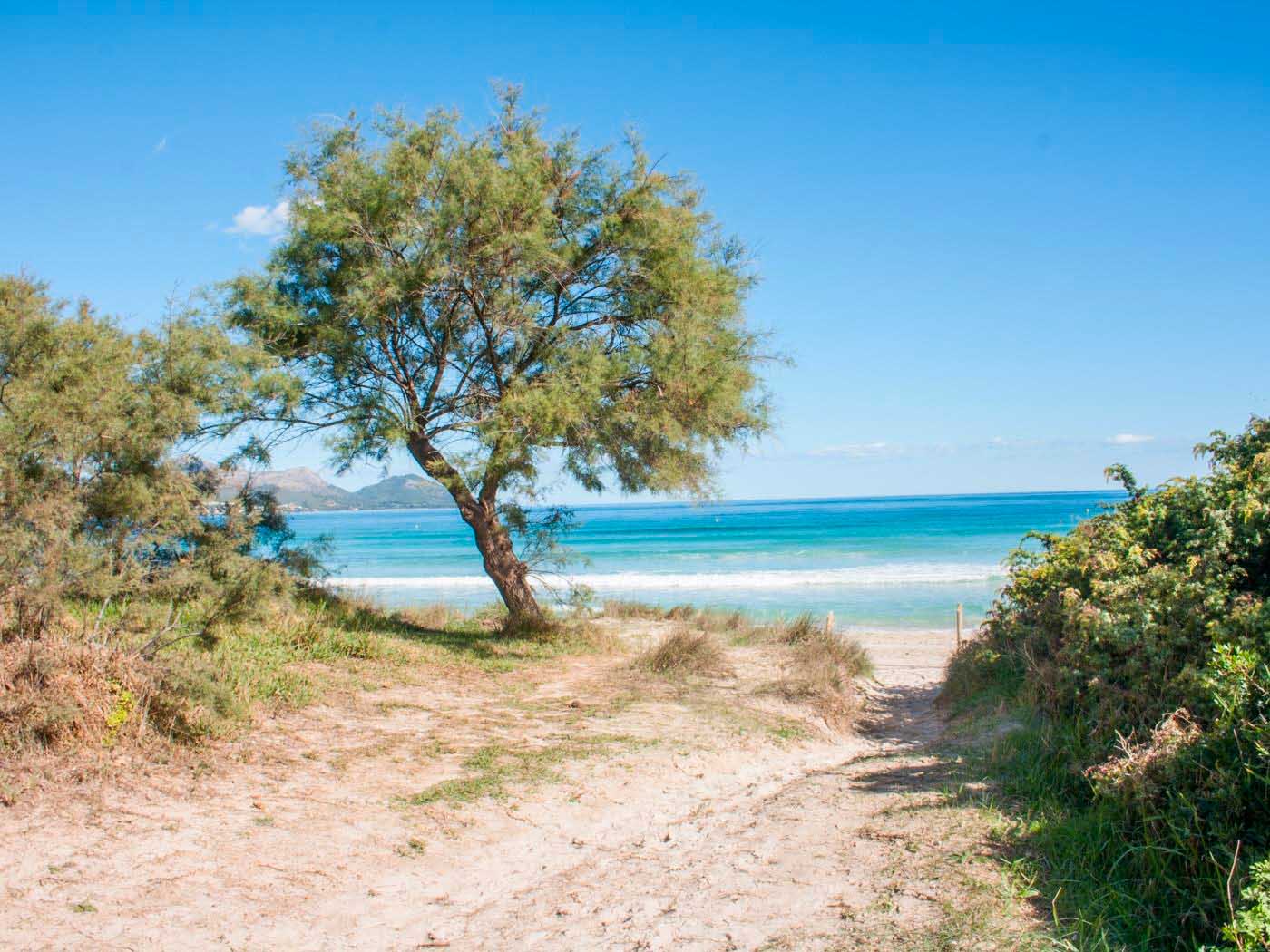 Marblava - Foravila Rentals