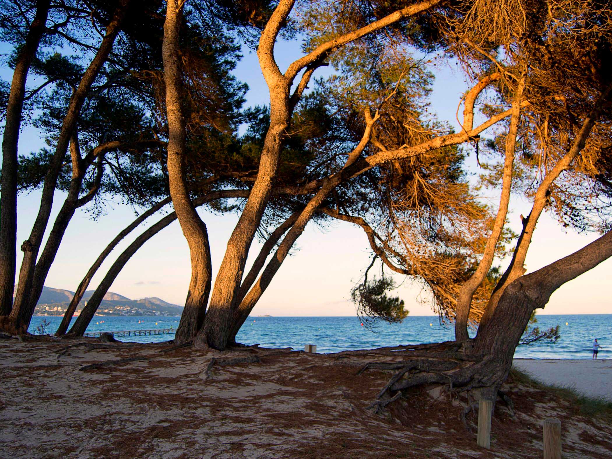 Marblava - Foravila Rentals