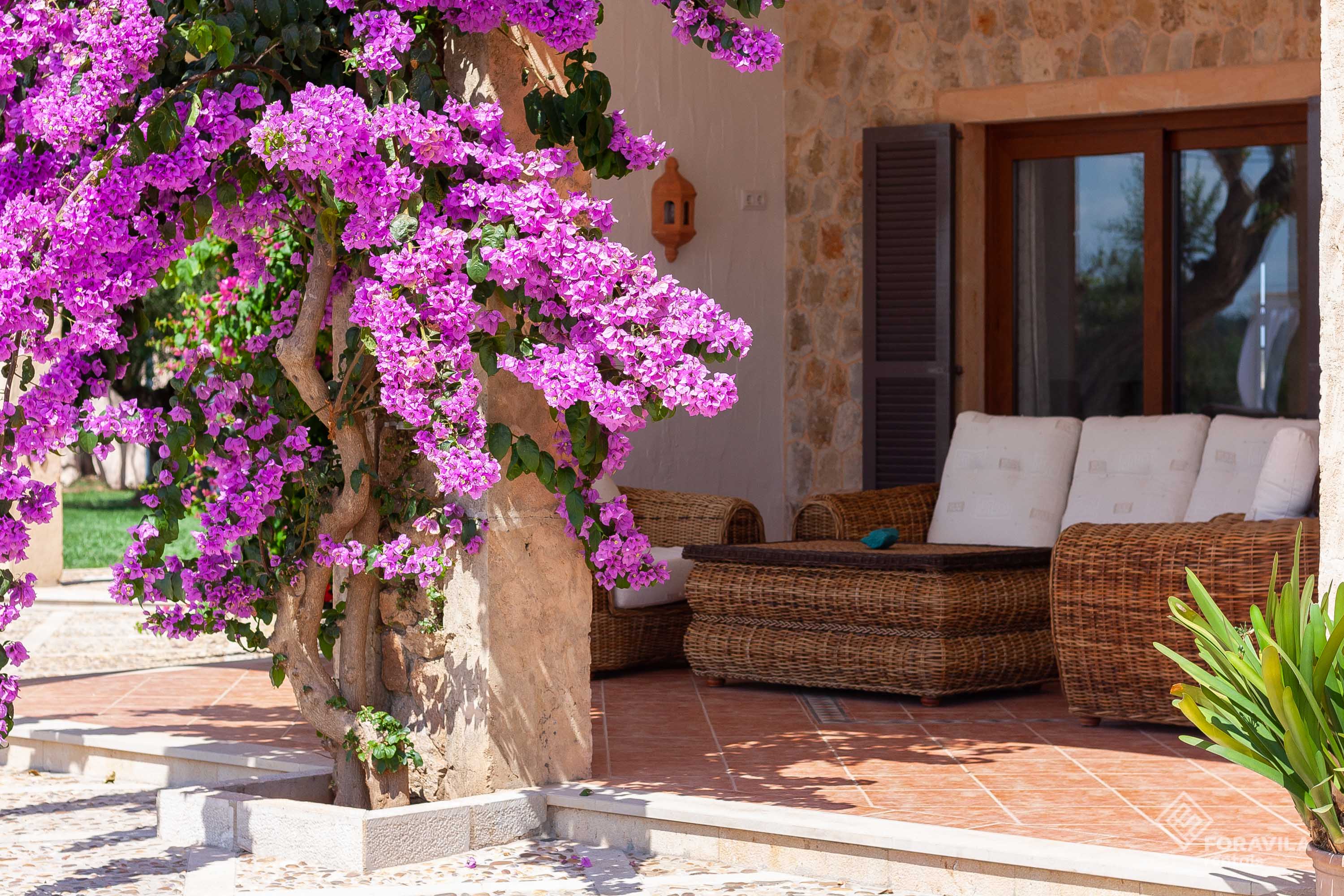 Villa Turquesa - Foravila Rentals